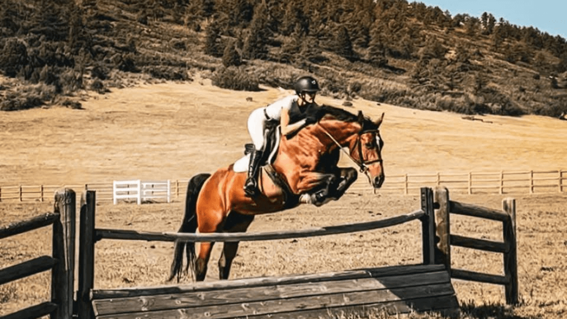 Meghan, a professional horse trainer, working with a horse in an open field, showcasing the bond between trainer and animal